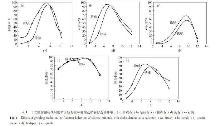 十二胺作捕收劑時(shí)磨礦介質(zhì)對(duì)五種硅酸鹽礦物浮選的影響 